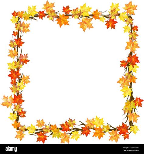 Autumn Frame With Maple Leaves on Branches of Tree Over White ...