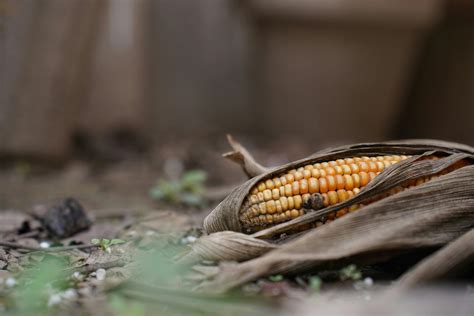 Images for Environment 的图像结果