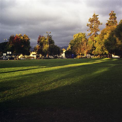 Guided Tour : Mosswood, Oakland - Buscada