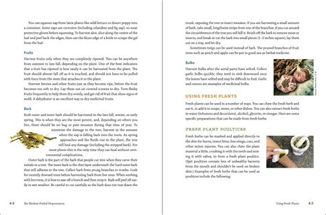 The Modern Herbal Dispensatory, A Medicine-Making Guide by Thomas ...