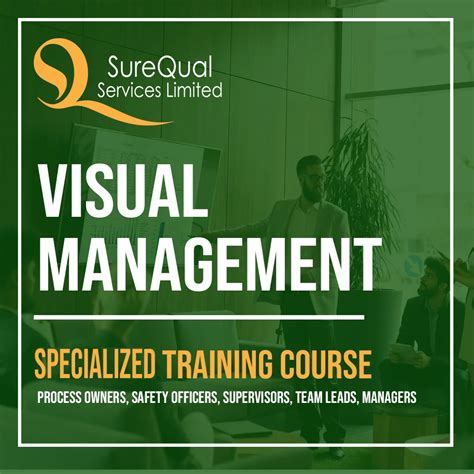 Image result for Visual Performance Management Process