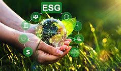 Risk Advisory Services India | Financial Risk Analysis India