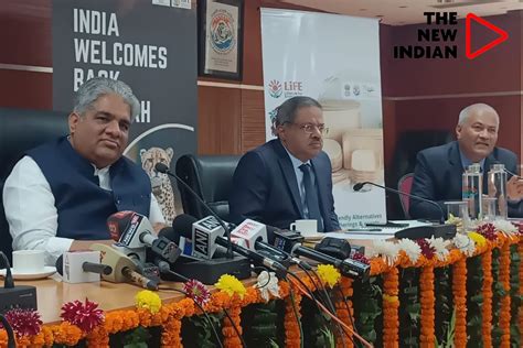 How India plans to take care of 12 South African Cheetahs at MP's Kuna ...