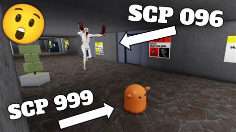 SCP 096 VS SCP 999 - Roblox