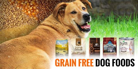 5 Best Grain-Free Dog Foods — Reviews and Buying Guide