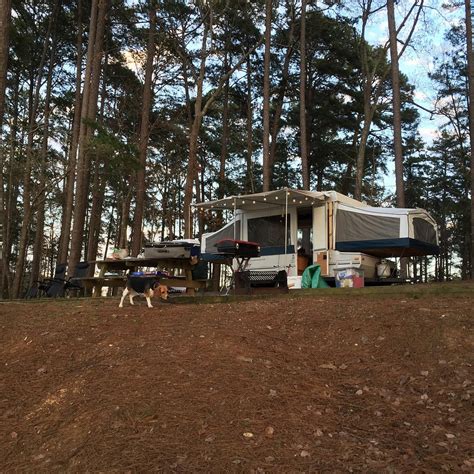 MISTLETOE PARK (2025) All You Need to Know BEFORE You Go (with Photos ...