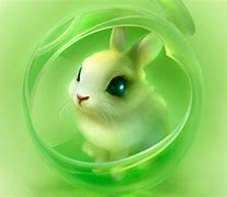 Image result for Bunny Rabbit Cut Out