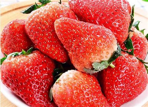 摘草莓是什么季节的水果-植物说