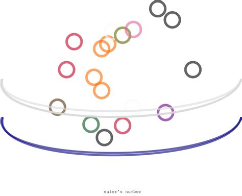 Image result for Euler Number