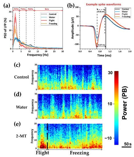 Neuronal Electrophysiological Activities Detection of Defense Behaviors ...