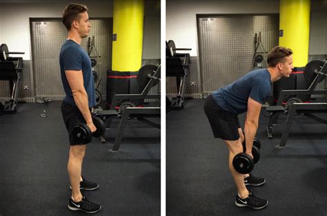 Dumbbell Romanian Deadlift Exercise Guide - TrainEatGain.com