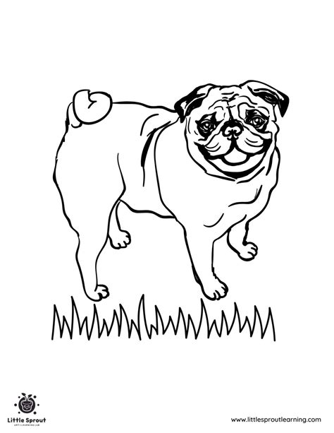 10 Absolutely Adorable Pug Coloring Pages - Little Sprout Art ...