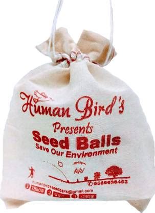Human Birds International Shami Tree , Vannimaram Seed Balls , Gift ...