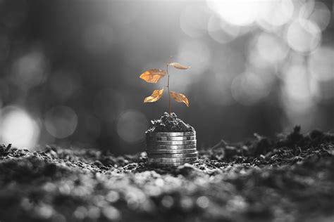 How to Gauge If We Are in a Recession - Capital Recovery Corporation