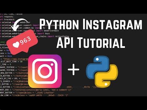 Instagram Python Bot Script 的图像结果