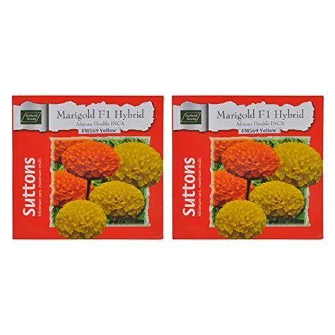 Sutton Seeds MARIGOLD F1 HYBRID-AFRICAN DOUBLE INCA-YELLOW-FM569 Flower ...