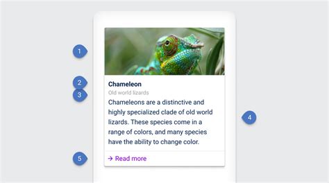 Struct Card 的图像结果