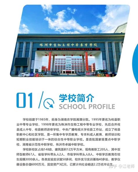 2023年株洲市普通高中招生报考指南Word模板下载_编号qdmxrjme_熊猫办公