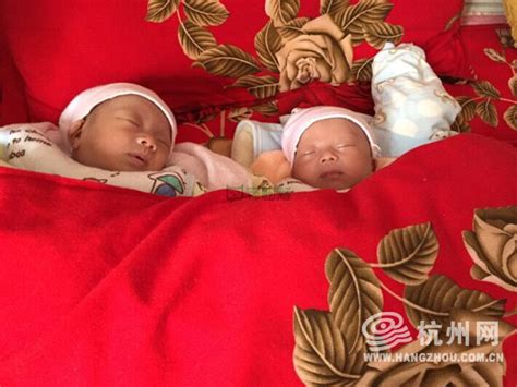 生下双胞胎后产妇离世 务农父亲含泪捐献器官救6人 - 杭网原创 - 杭州网