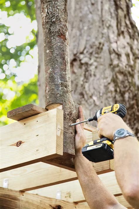 How to Build a Treehouse 的图像结果