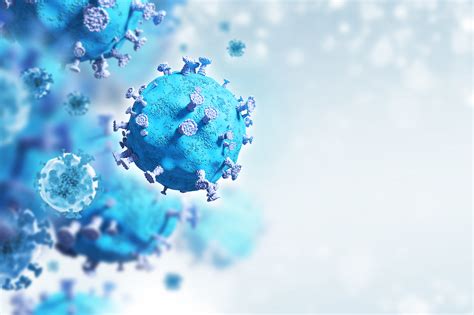 Functions and role of T cell immunity against COVID-19