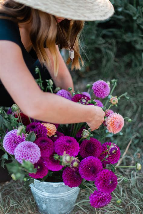Lisa Flowers Great Falls Mt - Lisa Wilson In Great Falls Montana Cheese ...