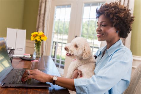 Why Are Dogs Called Fido? Meaning & Origin – Dogster