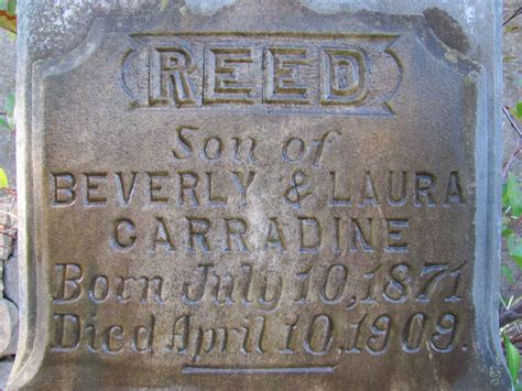 William Reed Carradine (1871-1909) - Find a Grave Memorial