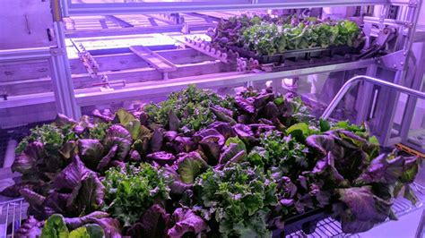 High-Tech Farming 的图像结果