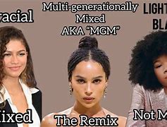 Image result for Biracial vs Mixed