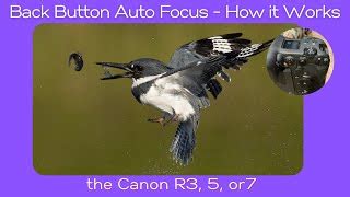 Image result for Canon R6 Back Button Tips