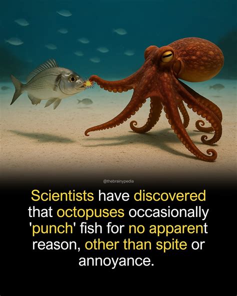 Pin by Nymph Kellerman on Animal Facts in 2025 | Fun facts about ...