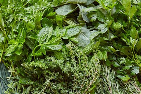 Herbs with Chef Josiah, Zandstra's Farm and Greenhouse, Highland, 20 ...