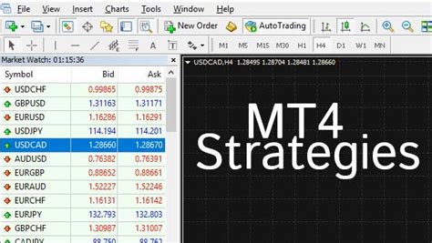 Can You Get Rich Trading Binary Options? - India Dictionary