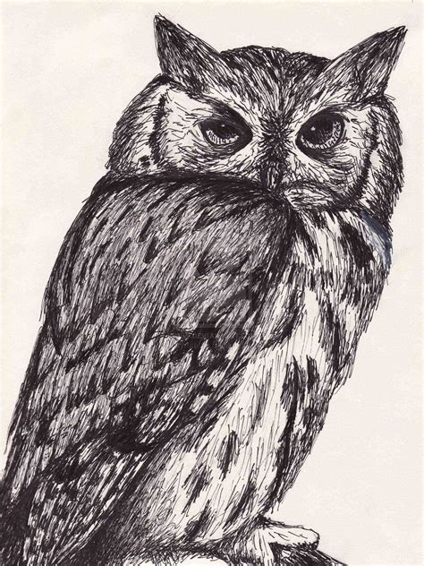 ink drawing animals