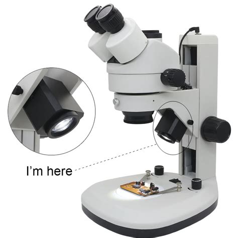 Light Source Microscope 的图像结果