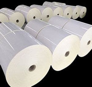 Plain Mirror Coat Label Manufacturer, Supplier from Palghar