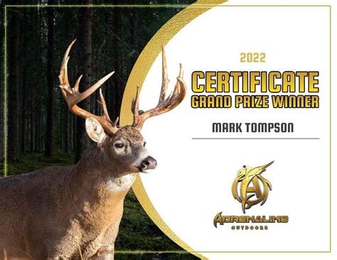 Entry #237 by andresgoldstein for Award certificate border using ...
