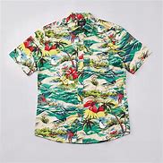 Image result for Bbq Hawaiian Shirt