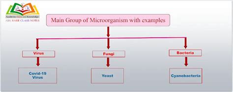 Image result for Flow Chart for Class 5