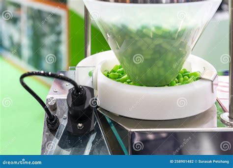 Capsule Shell Manufacturing Process 的图像结果