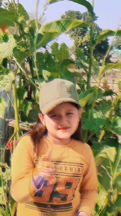 Image result for Takda Hi Java Song