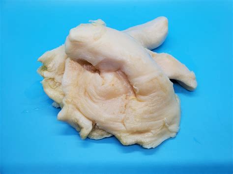 Image result for Conch Shell Meat