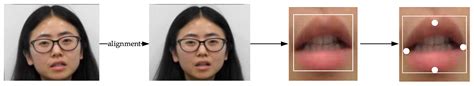 Automatic Lip Reading System Based on a Fusion Lightweight Neural ...