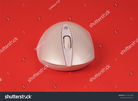 Image result for Computer Mouse Front View