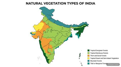 Natural Vegetation Revision Notes — ICSE 10 | Super Tutor
