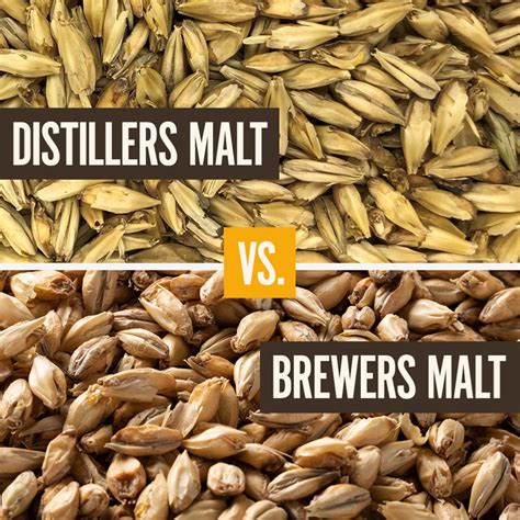 Distillers Malt vs. Brewers Malt in the U.S. and their Applications ...