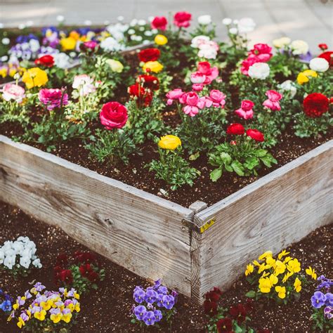 Cheap Flower Bed Ideas