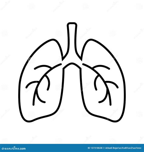 Lungs Drawing