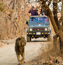 Gir National Park, Gir Forest National Park, Gir National Park Tour ...